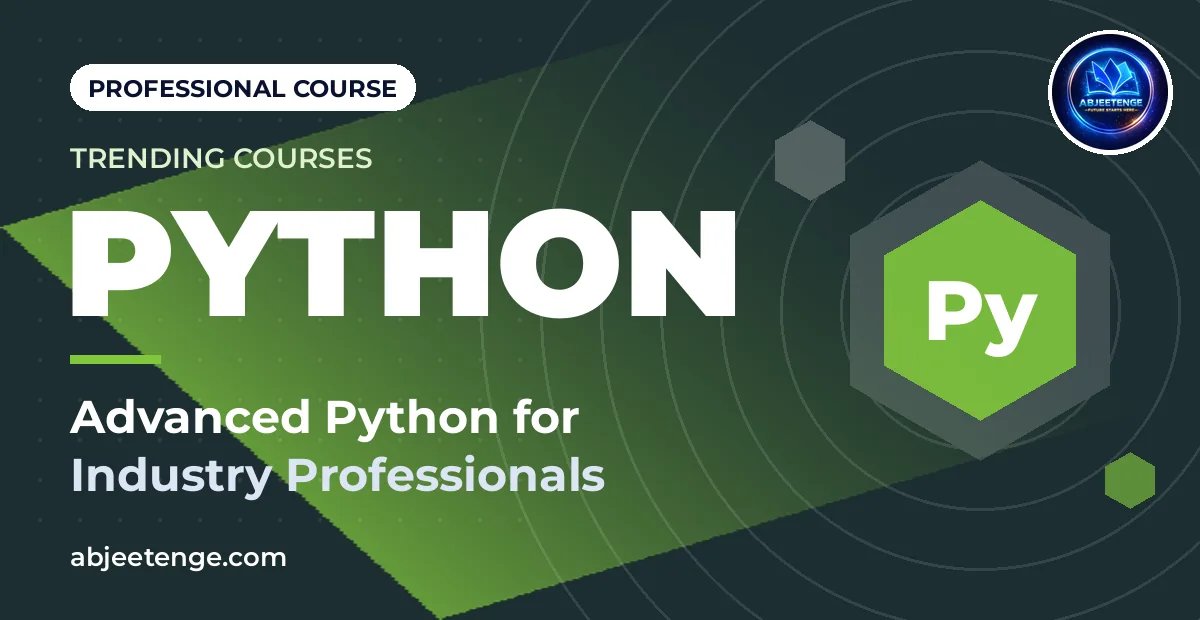 Advanced Python for Industry Professionals